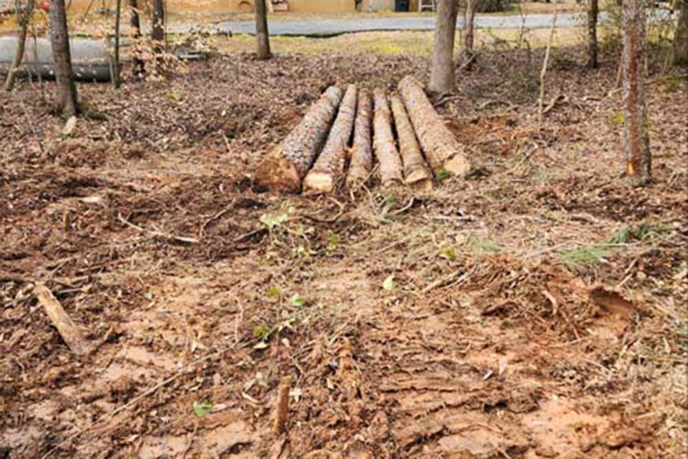Land Clearing Image Example