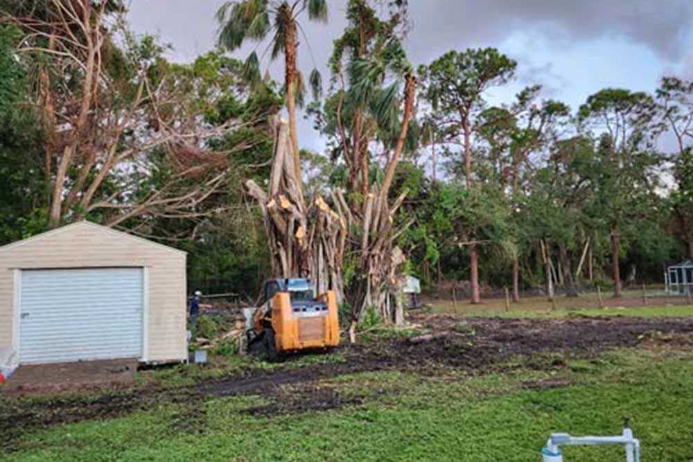 Land Clearing Image Example